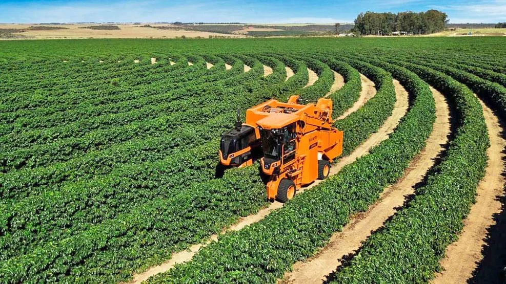 La recuperación económica en Ensenada: desafíos y oportunidades para los comerciantes locales