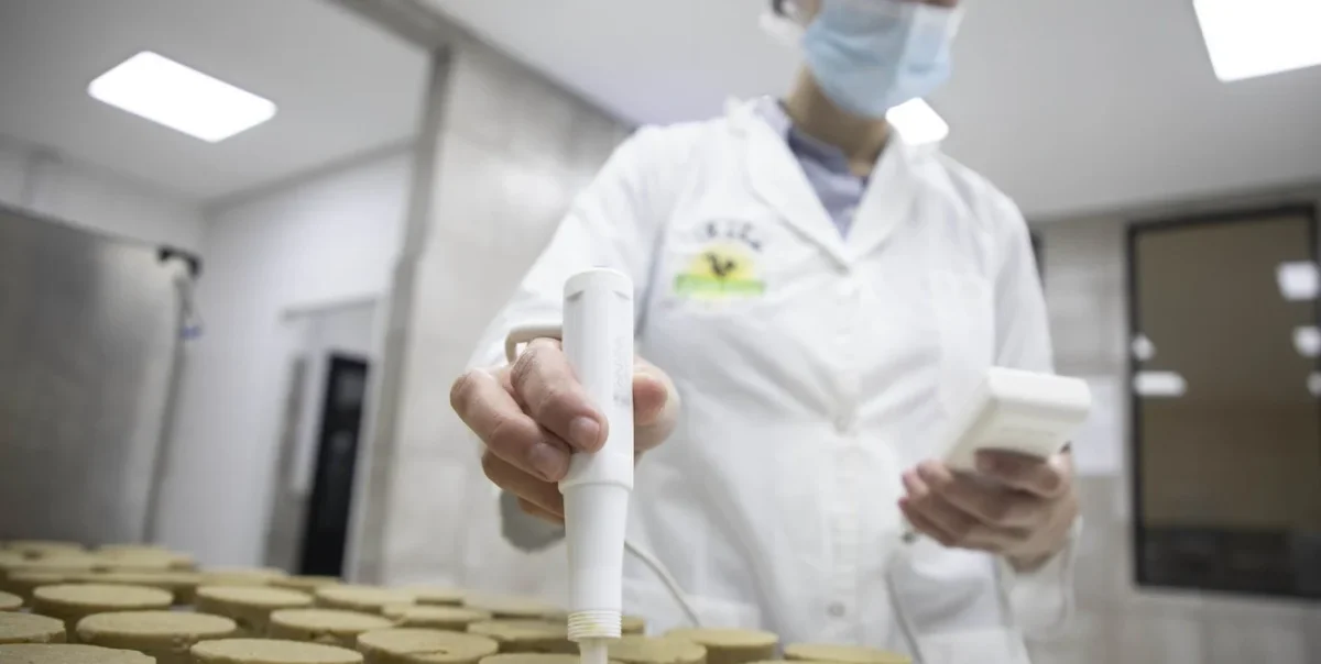 La recuperación industrial en Argentina: sectores aún desiguales en Ensenada y La Plata