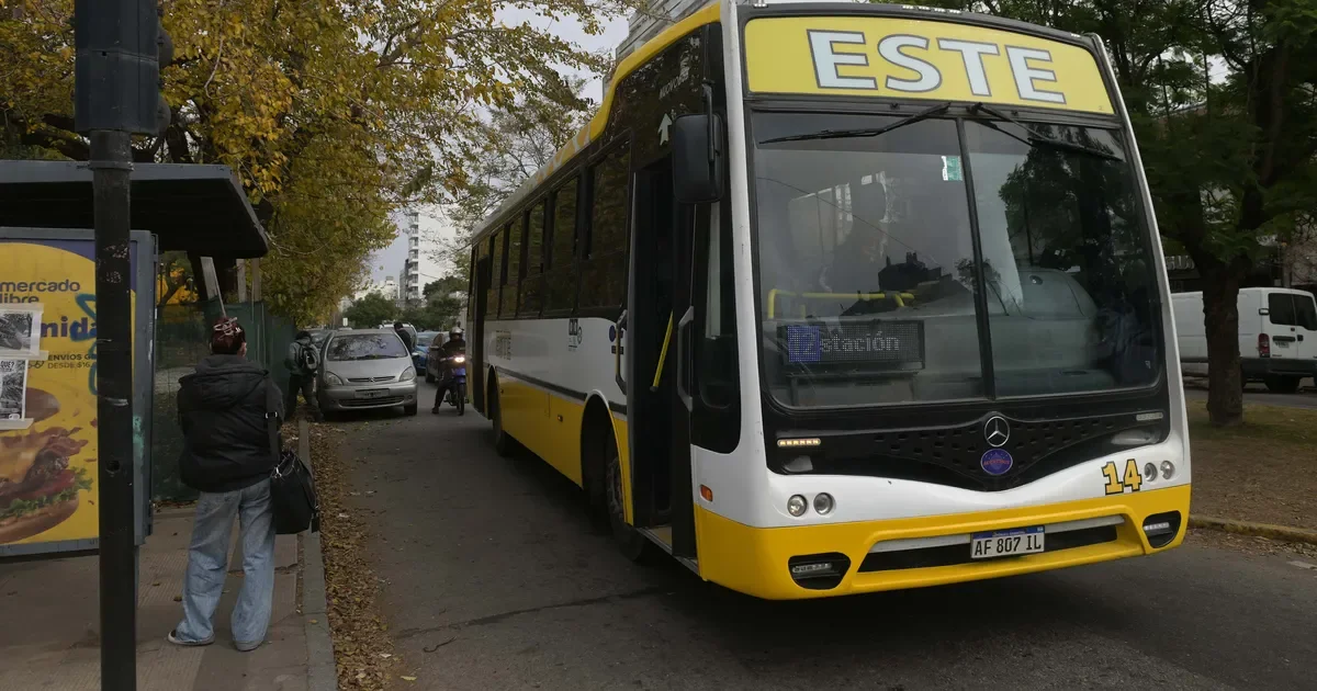 La UTA alerta sobre posible paro en micros: impacto en el transporte en La Plata y Berisso