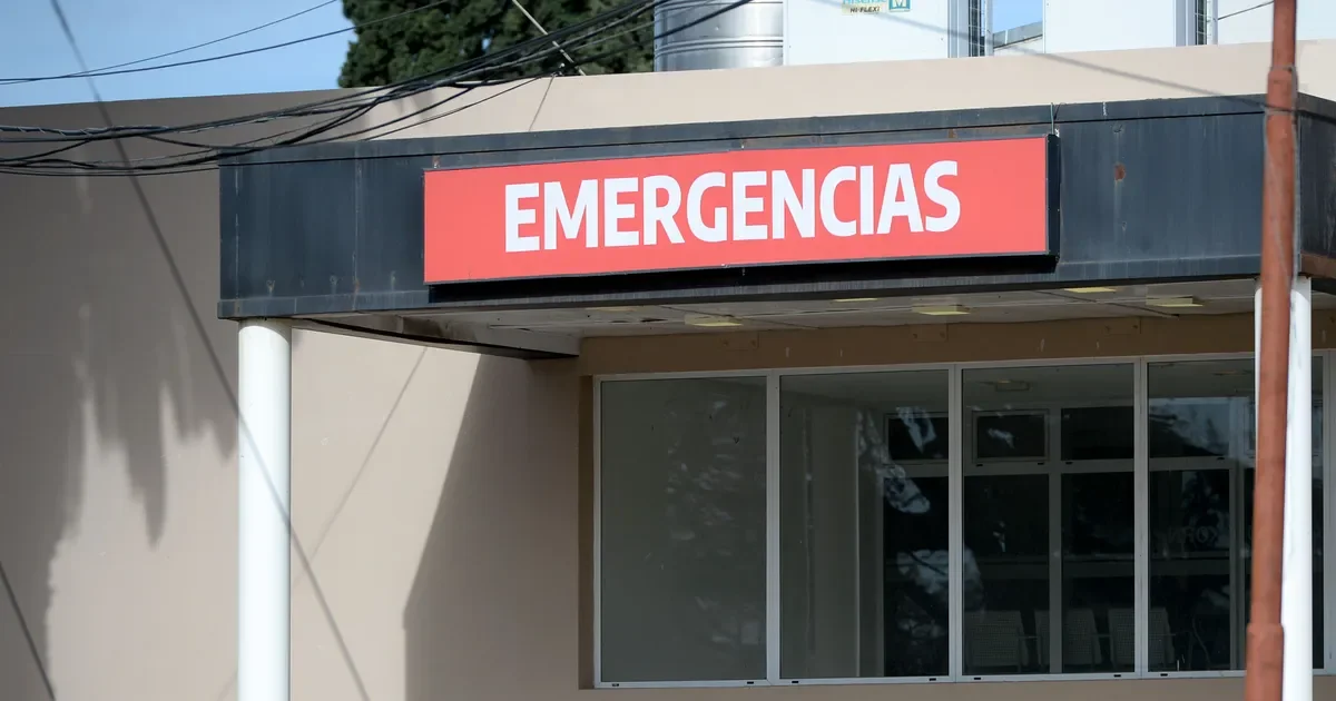 La vecina de La Plata herida por caída de árbol sigue en recuperación tras el temporal.