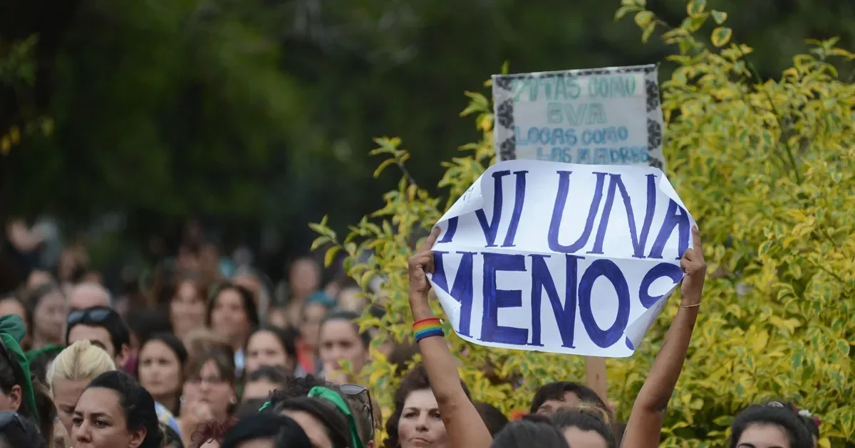 La violencia de género se dispara en la región: 146 mil causas en el último año