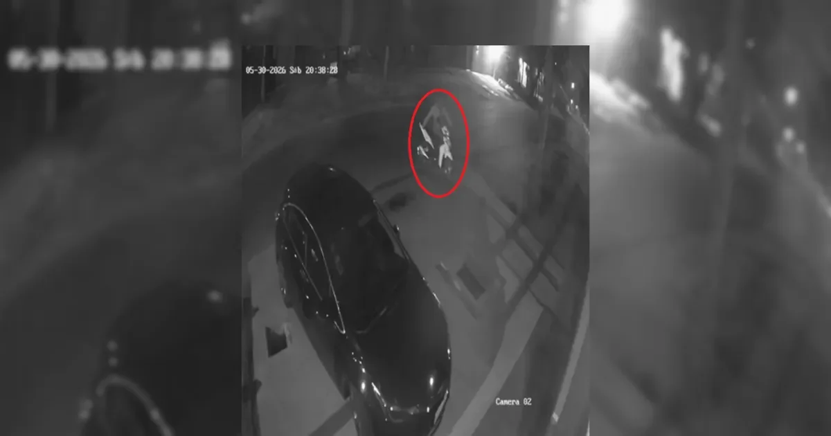 Ladrón de moto en La Plata: el robo quedó registrado en video y genera preocupación entre vecinos