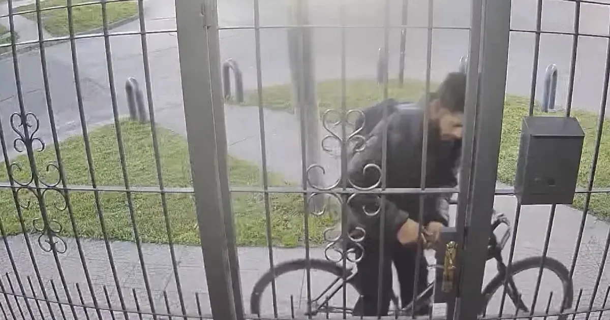 Ladrón de picaportes en La Plata: el video muestra el curioso robo en acción
