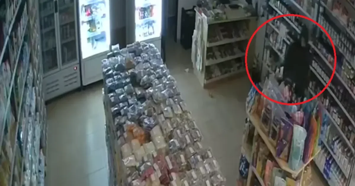Ladrones asaltan la nueva sucursal de Wako en La Plata y generan preocupación entre los vecinos