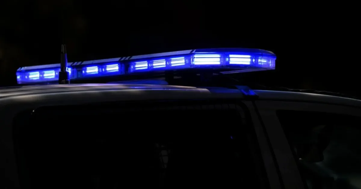 Ladrones desvalijan departamento en La Plata y se llevan reloj de $3,5 millones
