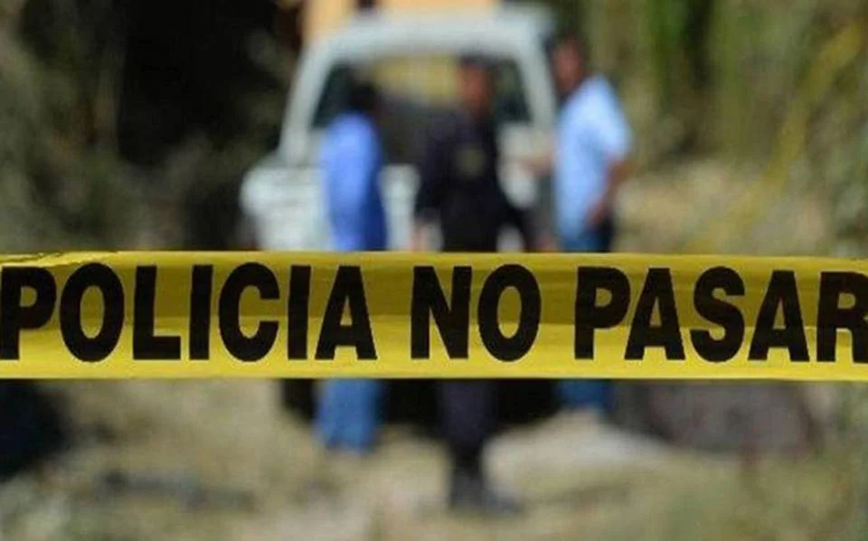 Localizan cinco cuerpos y restos óseos en fosa clandestina de Ensenada - Semanario ZETA