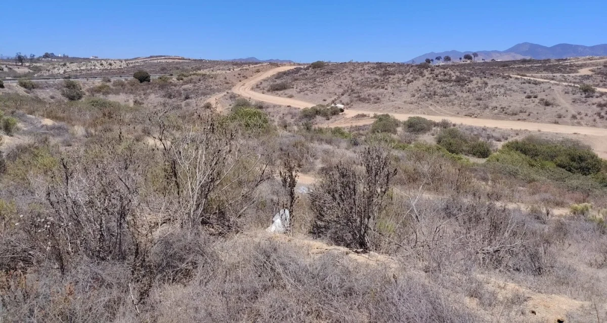 Localizan restos humanos cerca de la carretera a Ojos Negros en Ensenada - Semanario ZETA