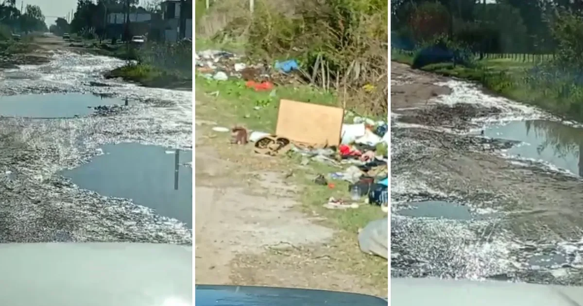 Los Hornos exige mejoras urgentes en la calle 173, en estado crítico
