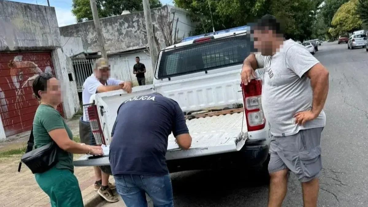 Más de 20 perros rescatados en San Carlos generan preocupación por el bienestar animal