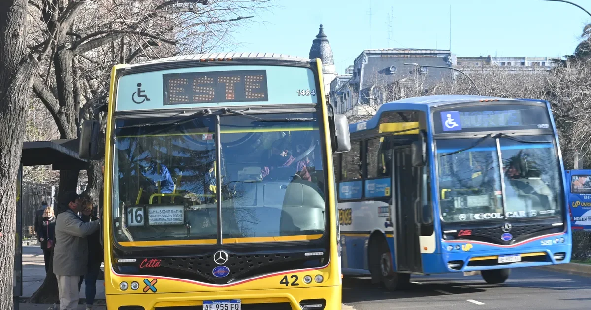 Micros de 2012 seguirán en circulación en La Plata con controles más estrictos