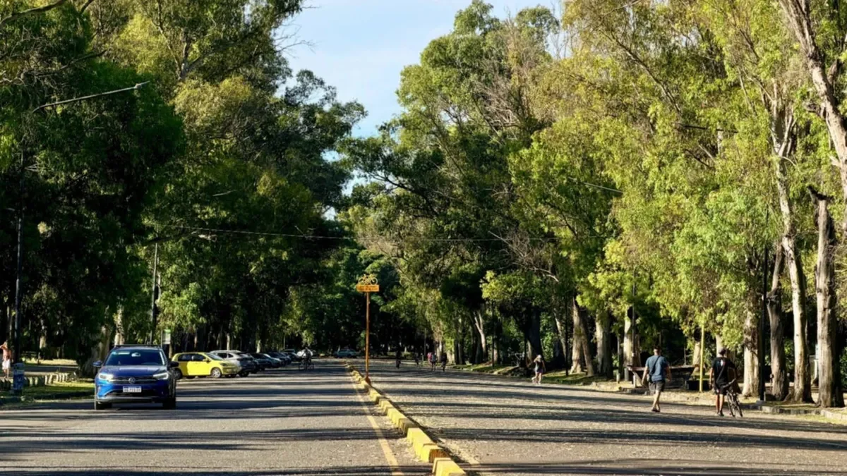 Miedo en el Bosque de La Plata: mujeres denuncian acoso sexual en el lugar
