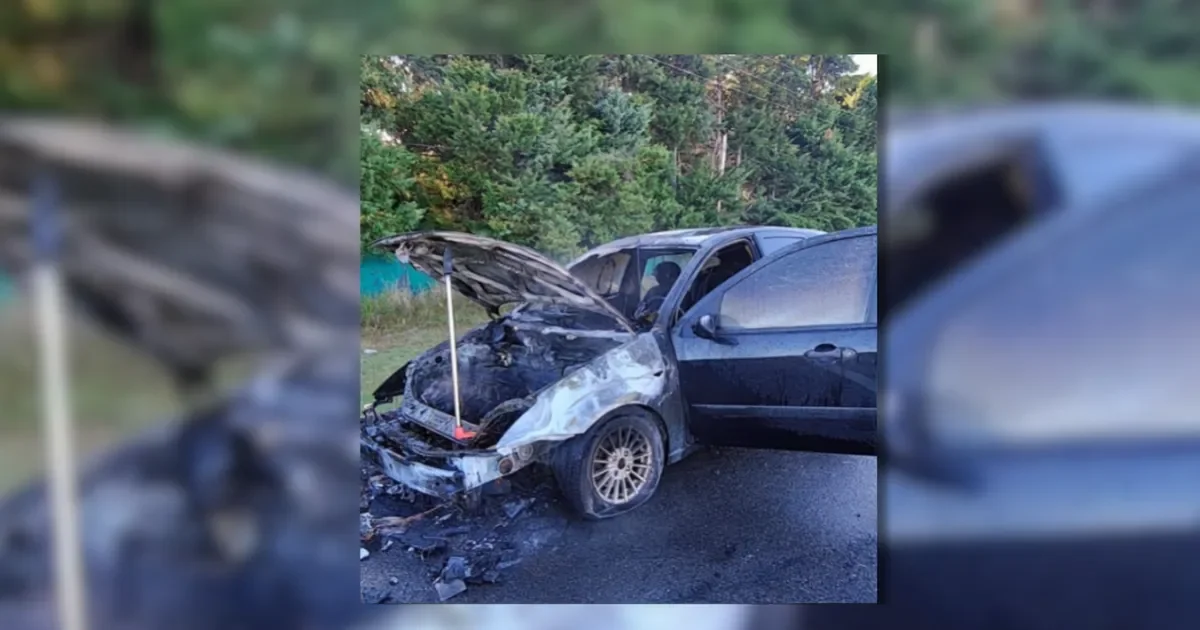 Milagroso escape: conductor sobrevive a incendio de auto en plena Ruta 2
