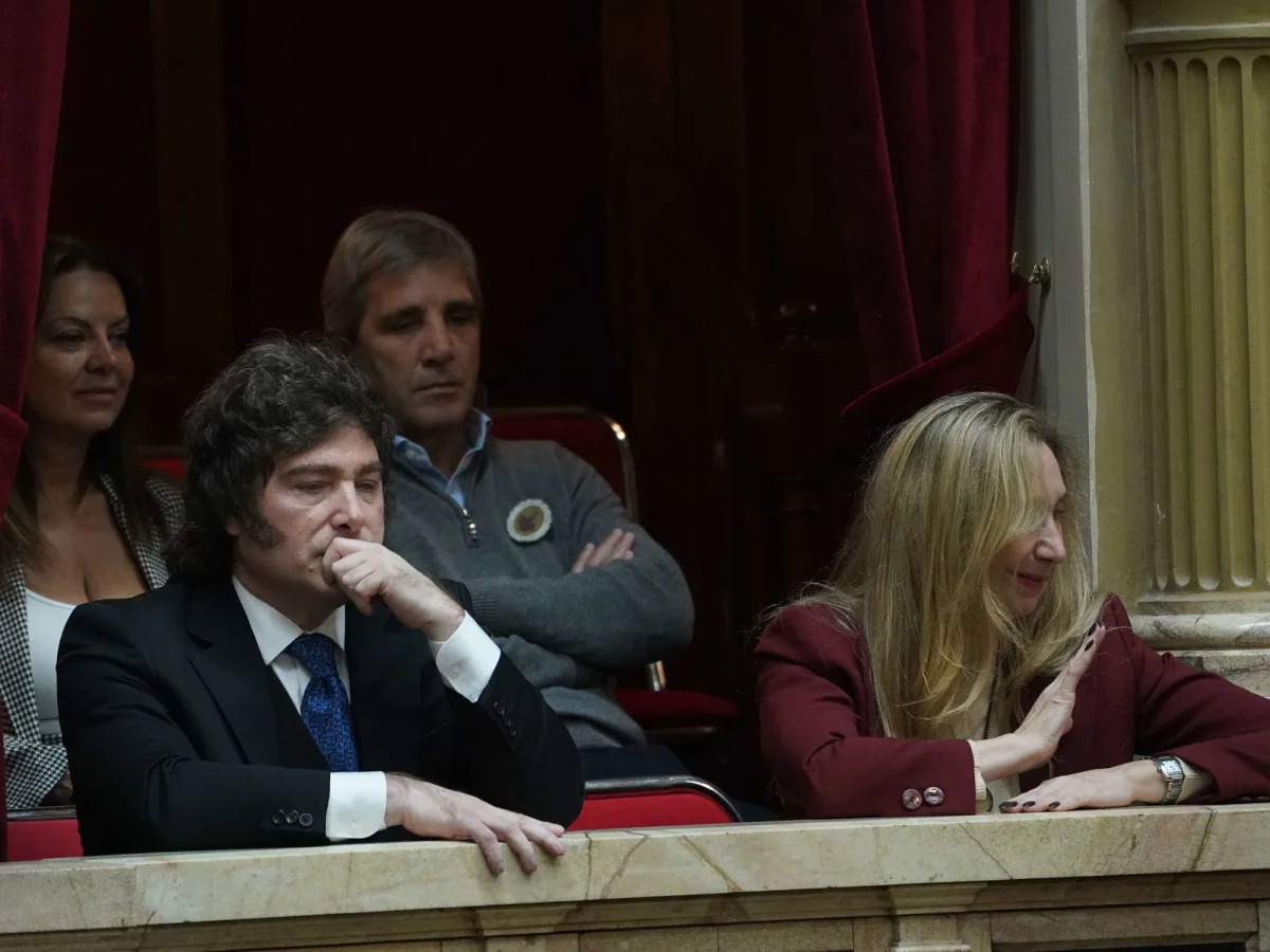 Milei enfrenta críticas por su comportamiento: inquietud entre los ciudadanos de La Plata