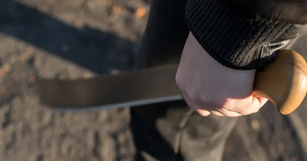 Mujer defiende su hogar en Tolosa y ahuyenta a ladrones con machete