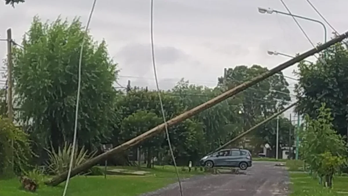 Municipio de Ensenada busca sanciones por el abandono de cables y postes de EDELAP