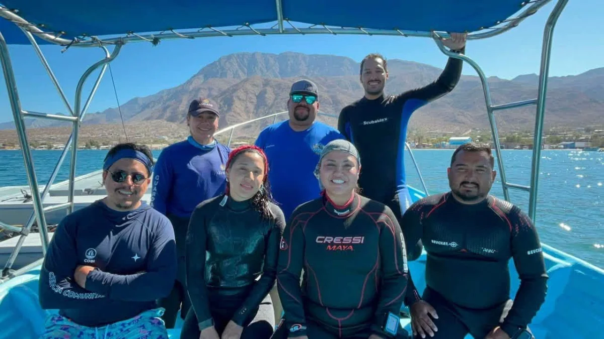 Nuevas medidas de monitoreo para proteger la biodiversidad en Bahía de los Ángeles