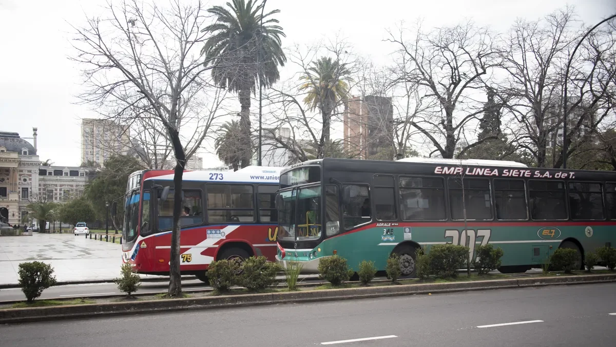 Nuevos recorridos de micros en La Plata: cambios que impactan a miles de pasajeros