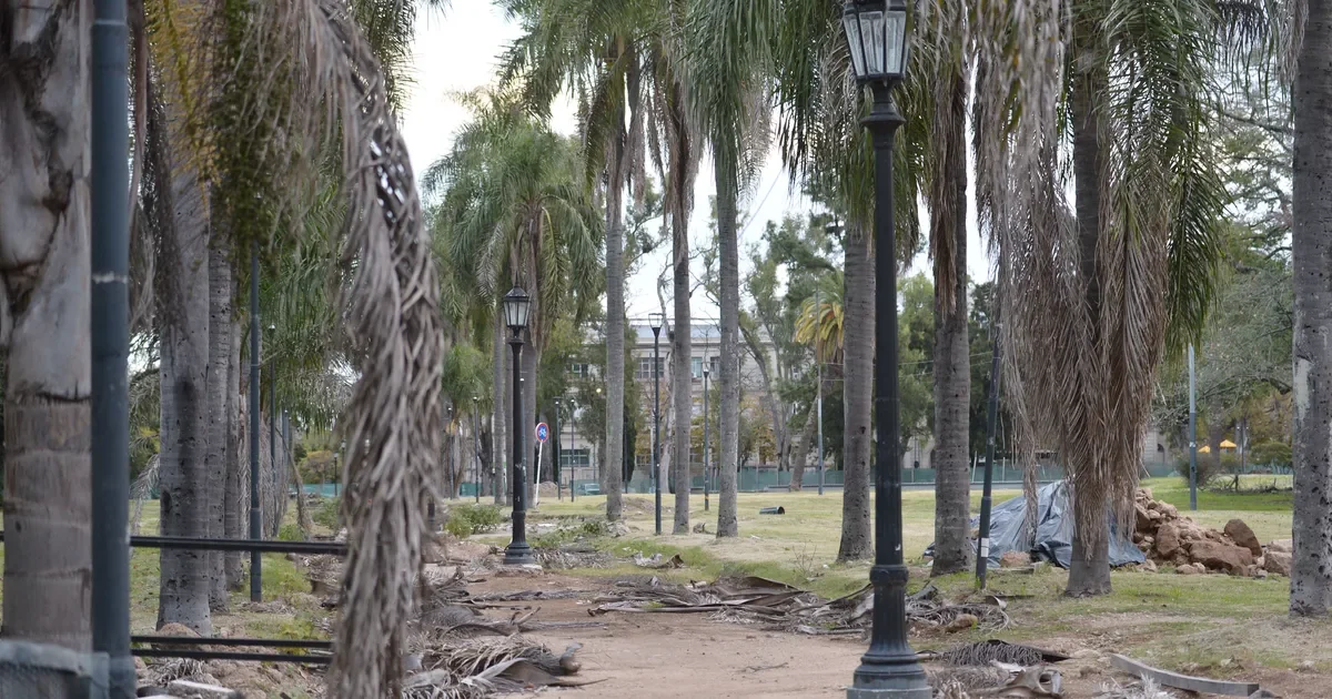 Obras en el Parque Saavedra: vecinos esperan respuestas tras postergación de licitación