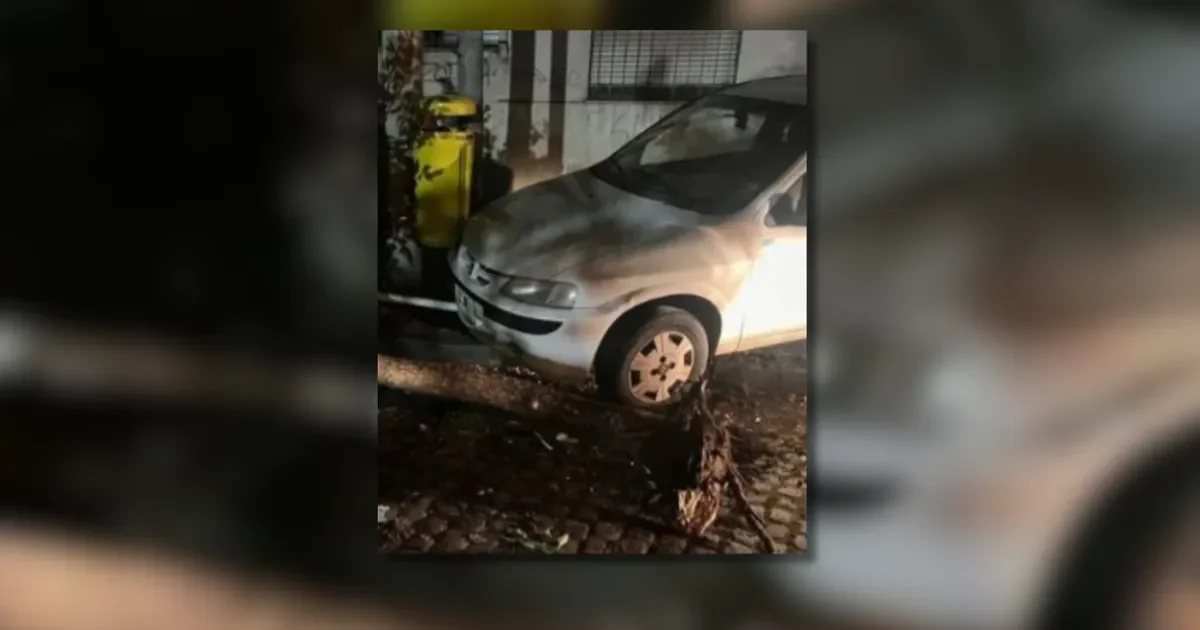 Oficial del Servicio Penitenciario choca contra un árbol tras persecución en La Plata