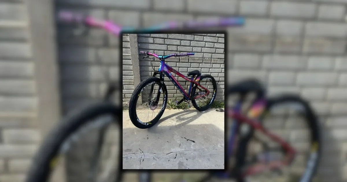 Ofrecen recompensa en La Plata para encontrar bicicleta dirt jump robada