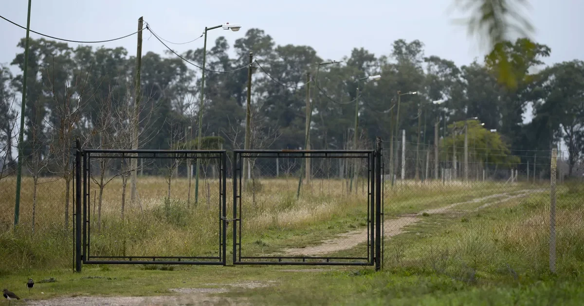 Operativos en La Plata: una detenida y varios imputados por loteos ilegales en la ciudad