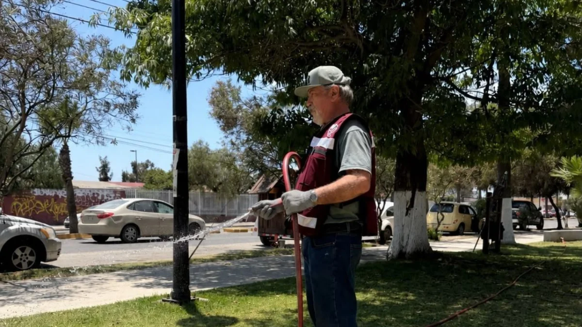 Parques de Ensenada y La Plata reciben mantenimiento para mejorar espacios públicos