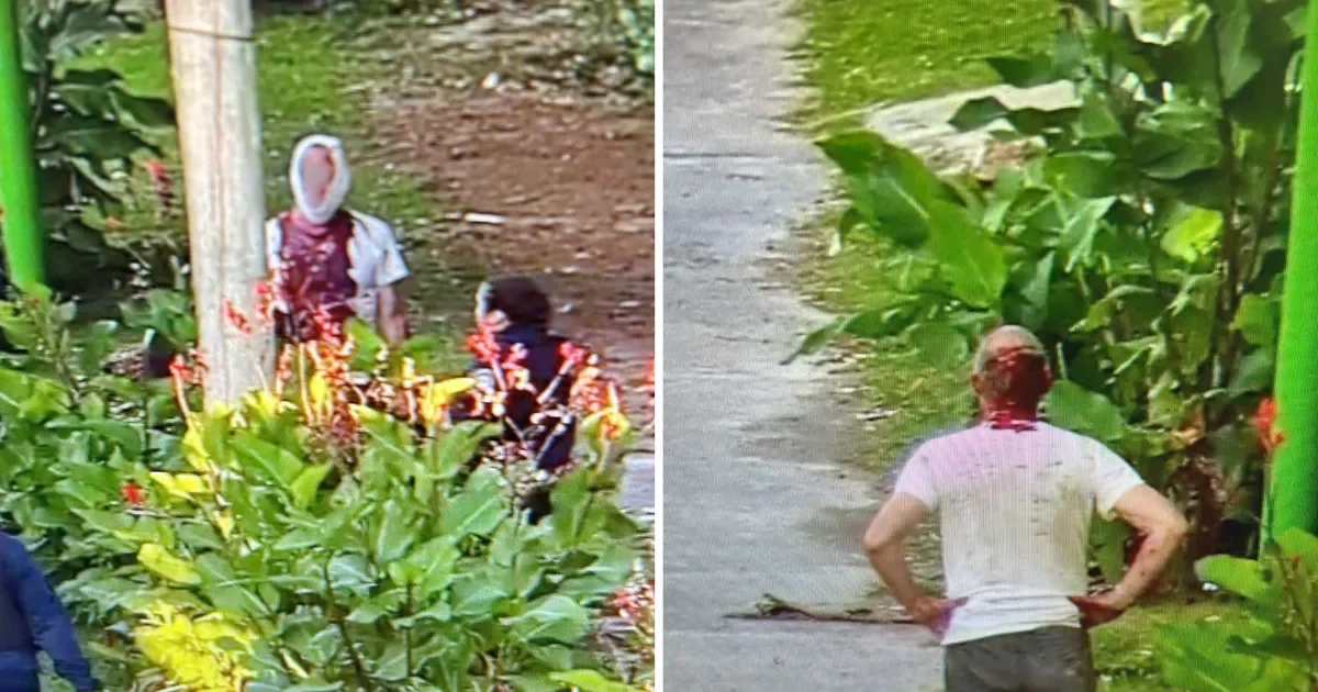 Pelea a cuchillo en Ensenada deja a tres vecinos heridos y conmociona al barrio