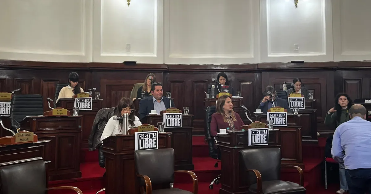 Polémica en el Concejo Deliberante: "Cristina Libre" genera división entre concejales y vecinos