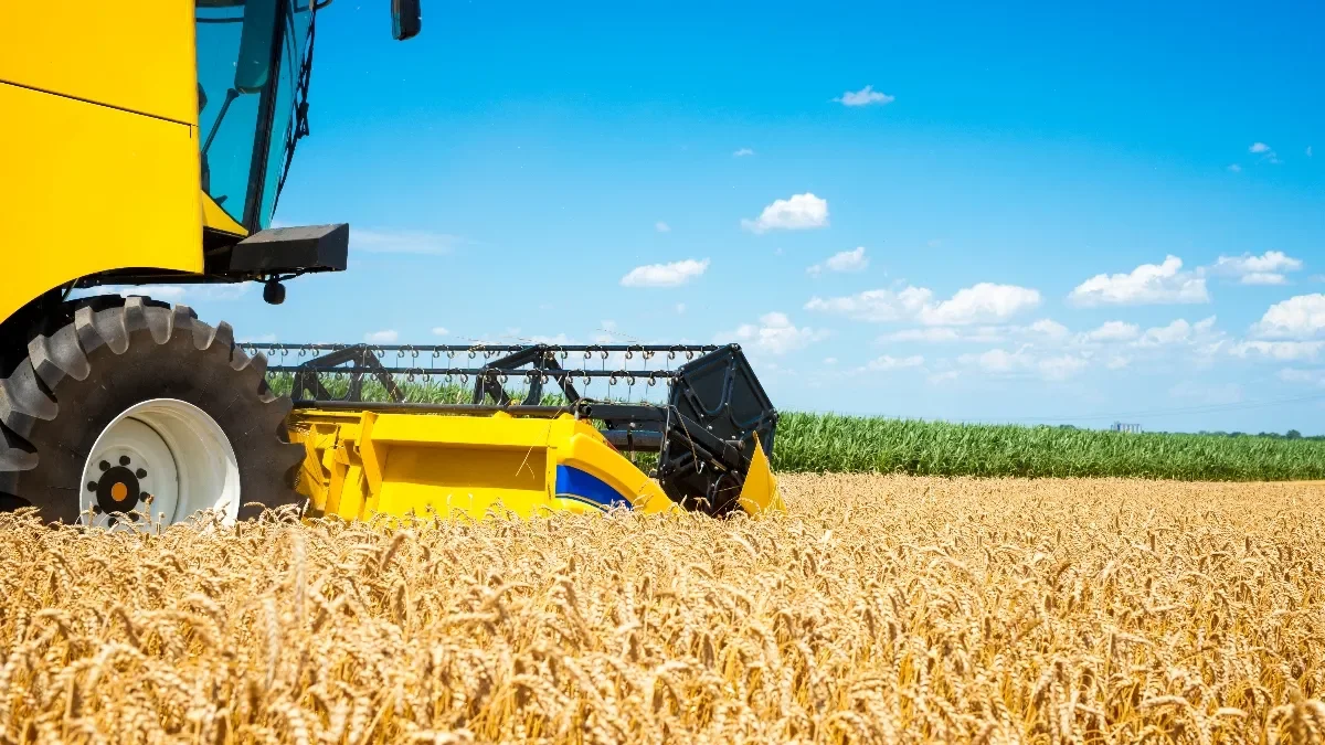 Producción de granos en riesgo: Argentina podría perder 251 millones de toneladas en 10 años