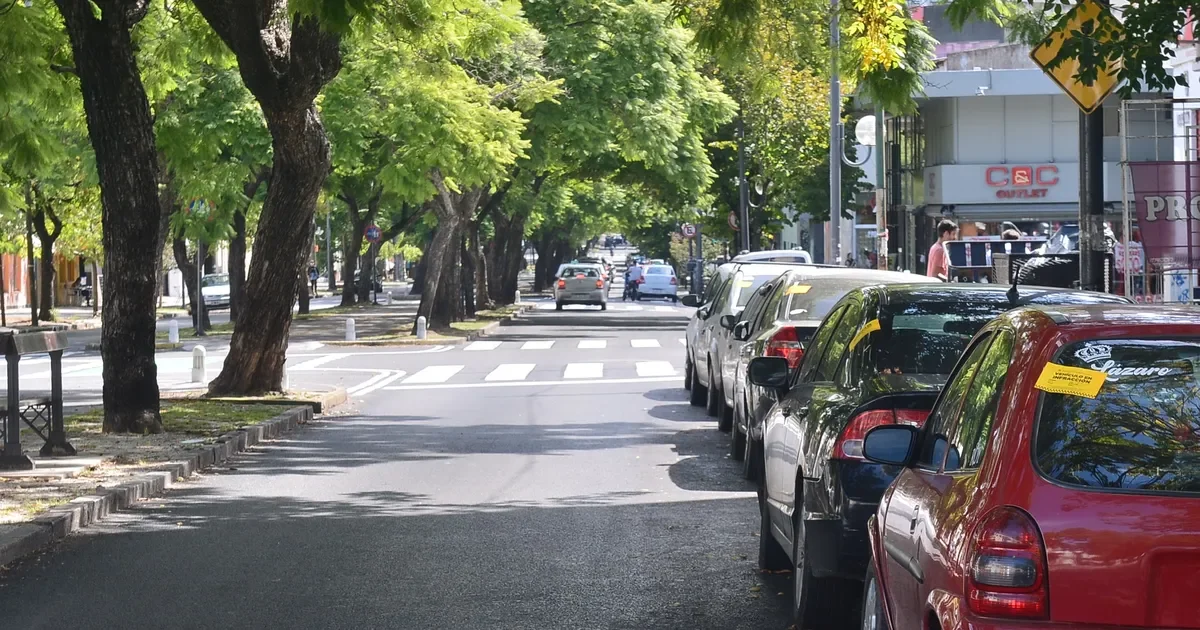 Propuesta para facilitar la renovación de licencias de conducir en La Plata y la provincia