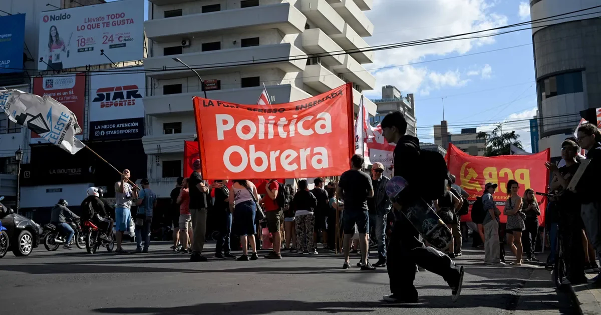 Protesta en 7 y 50: vecinos de La Plata se manifiestan en apoyo a Venezuela