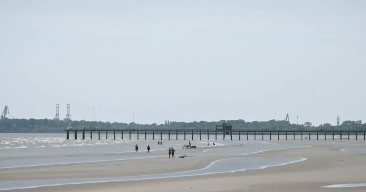 Proyectos eólicos en la región: el Río de la Plata como motor de desarrollo sustentable