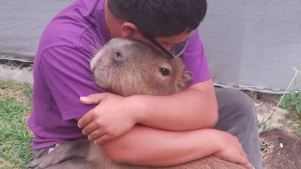 Punta Lara celebra el regreso de Poroto, el carpincho que robó corazones