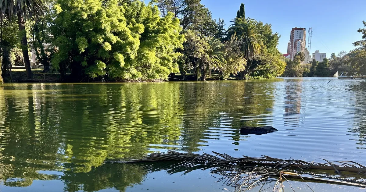 Región sin alerta de cianobacterias: actualización del mapa tranquiliza a vecinos de Ensenada y La Plata