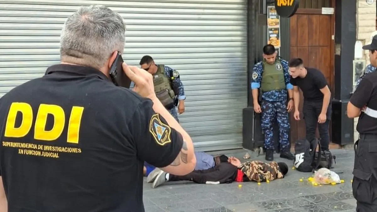 Reincidente delictivo roba nuevamente en La Plata tras ser liberado