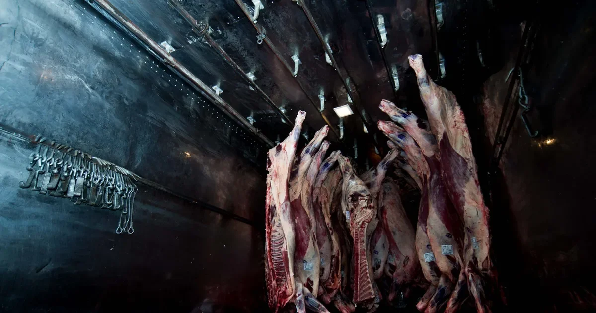 Repartidor de carne de La Plata es víctima de violento asalto: $7 millones en juego