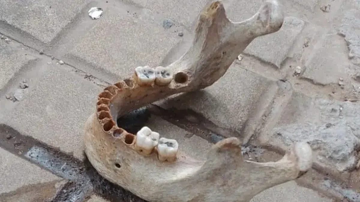 Restos óseos descubiertos en el corazón de La Plata generan inquietud en los vecinos