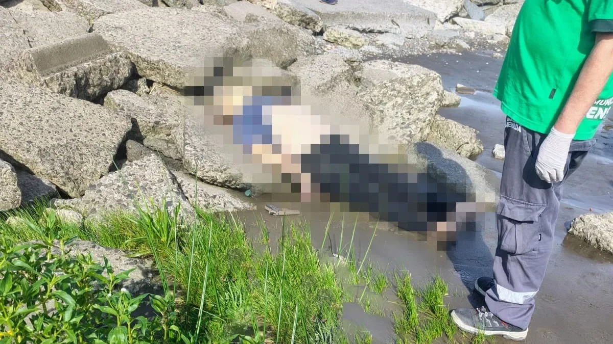 Revelan que la víctima hallada en Ensenada enfrentaba problemas de salud mental