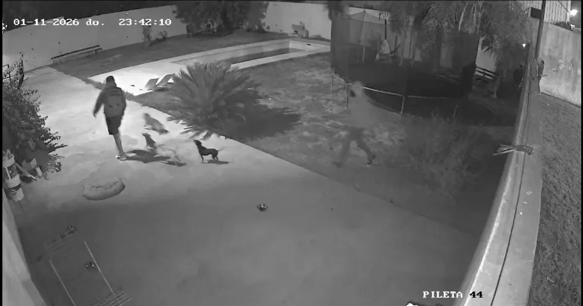 Roban en Lisandro Olmos: vecinos temen por su seguridad tras el violento asalto