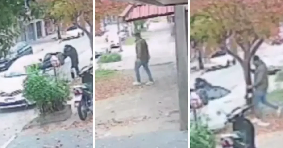 Robo en La Plata: vecinos preocupados tras ataque a casa y maltrato a mascota
