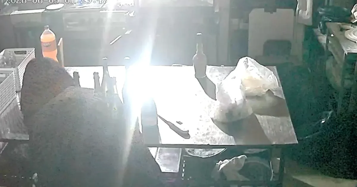 Robo en salón de fiestas en City Bell: delincuentes se llevan 10 kilos de pizzas