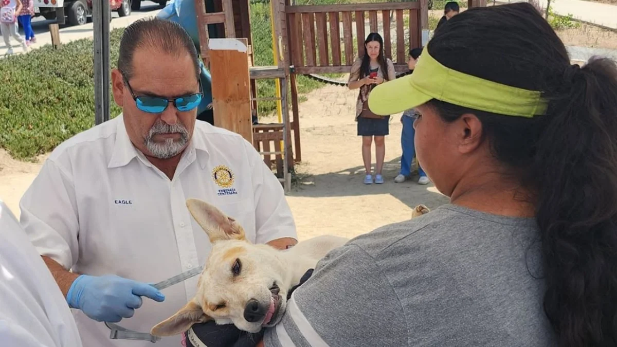 Rotary intensifica su campaña de concientización sobre la rickettsiosis en La Plata