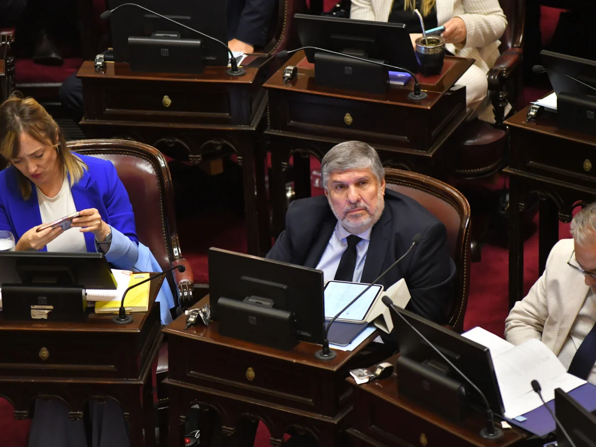 Senadores del PJ en La Plata consideran separarse del bloque kirchnerista en el Senado