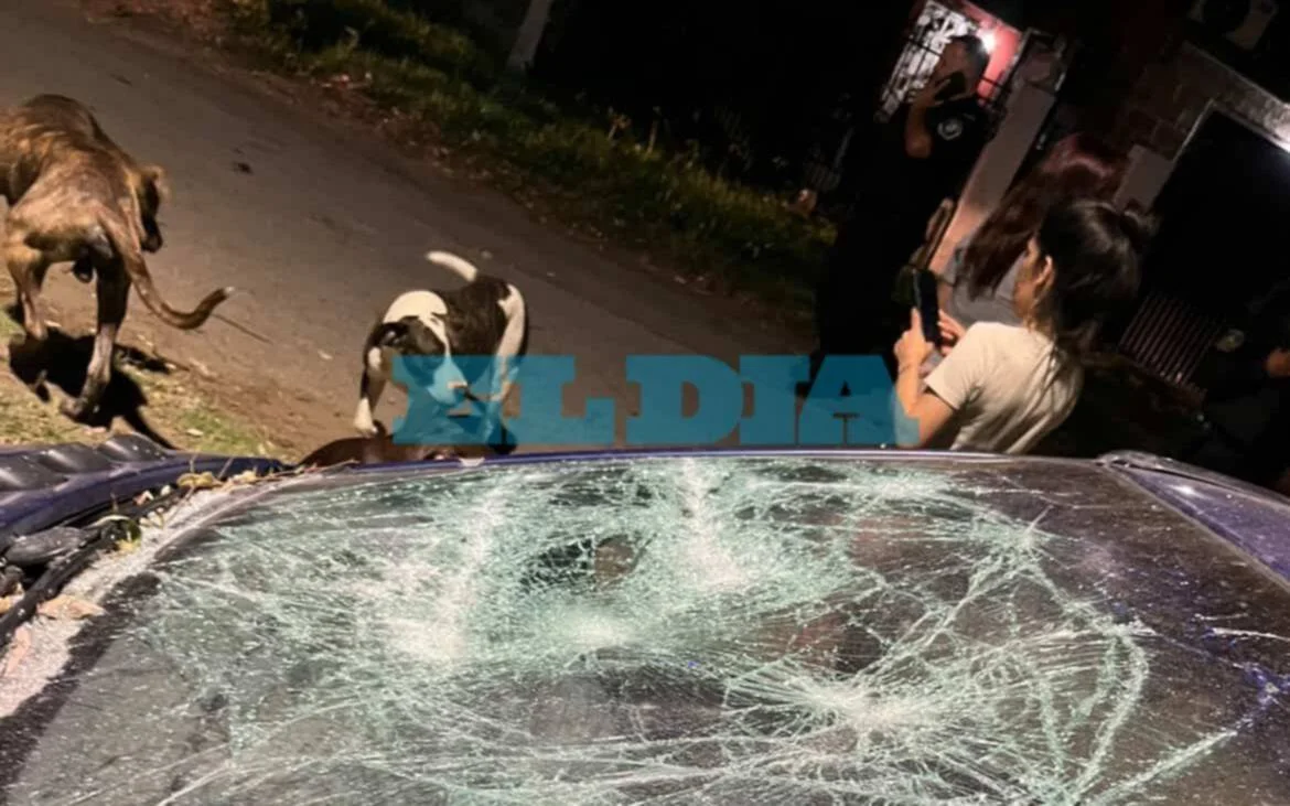 Tensión en La Plata tras tiroteo que dejó daños materiales en el barrio