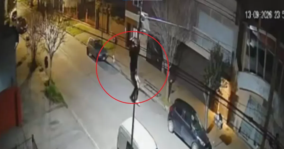 Tolosa sin luz: delincuente se trepa a un poste y roba luminaria en plena noche