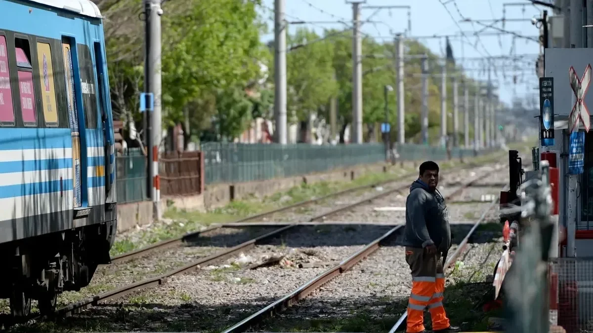 Tragedia en La Plata: un caballo muere tras ser embestido por un tren en el barrio El Mondongo