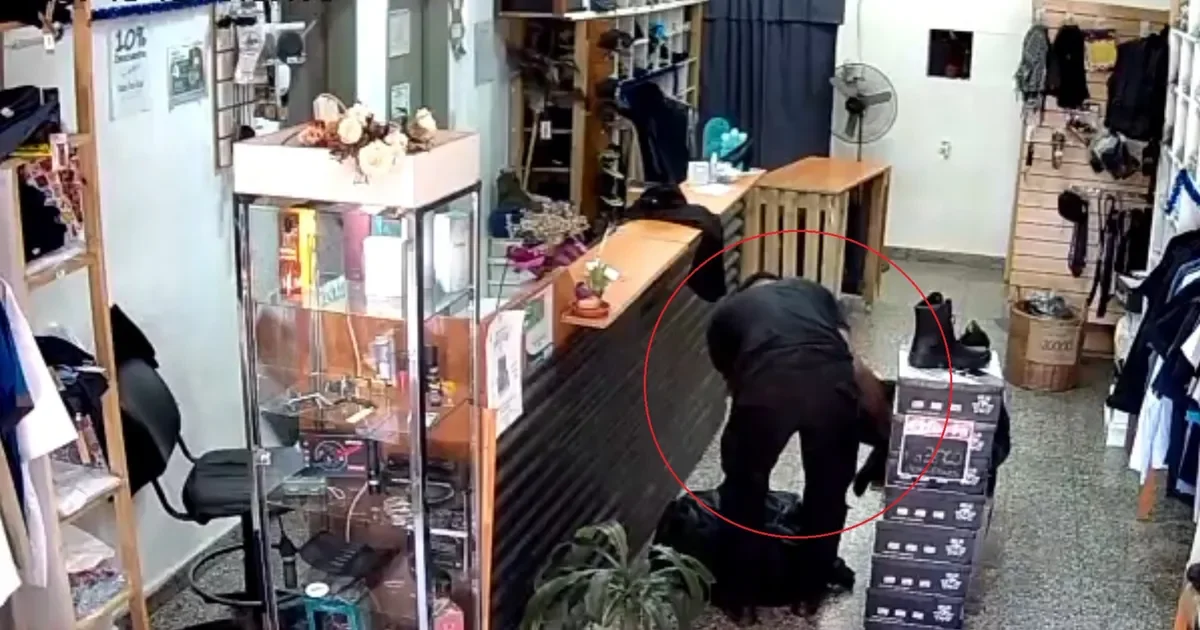 Un empleado penitenciario de La Plata es grabado robando en una tienda de ropa