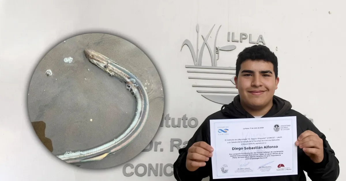 Un joven de La Plata sorprende a científicos al descubrir un "vampiro de mar" en el río