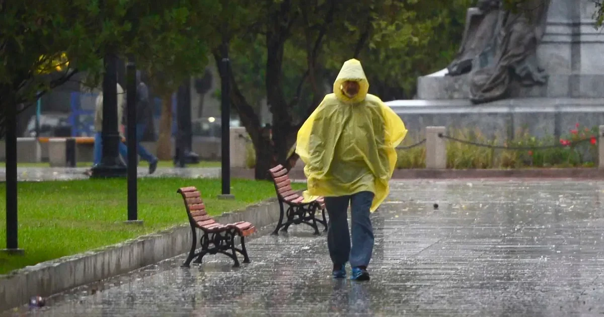 Vecinos de La Plata, Berisso y Ensenada se preparan ante posibles daños por tormentas.