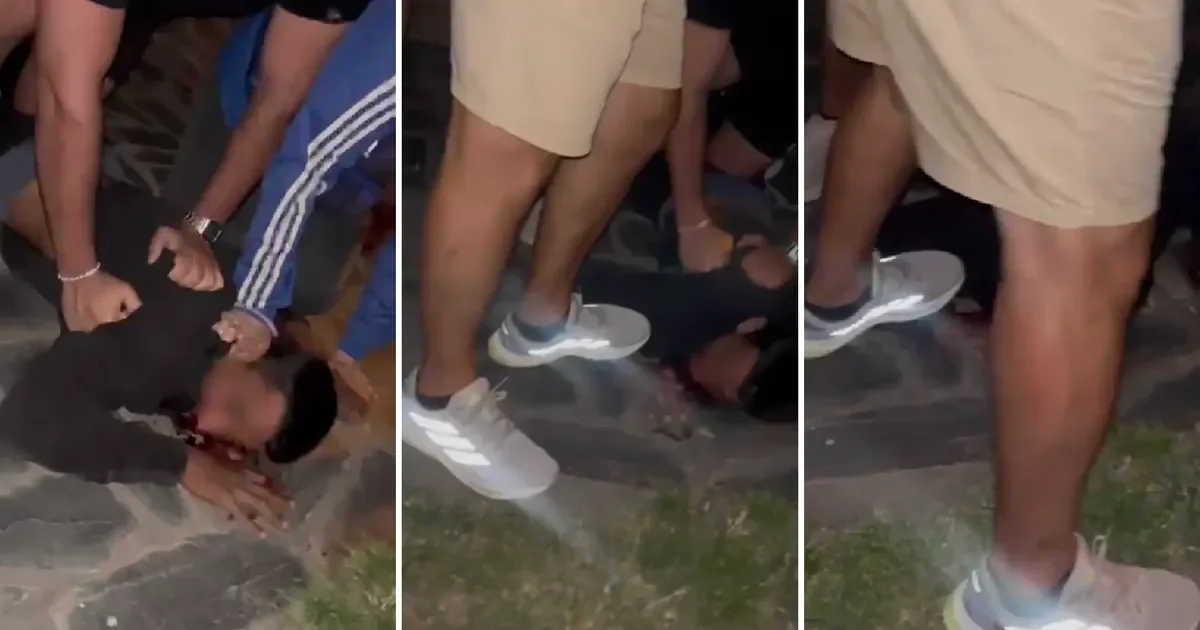 Vecinos de La Plata colaboran para atrapar a ladrón en pleno centro de la ciudad